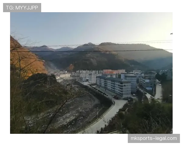 界外判定规则要点：出界标准与掷界权判定