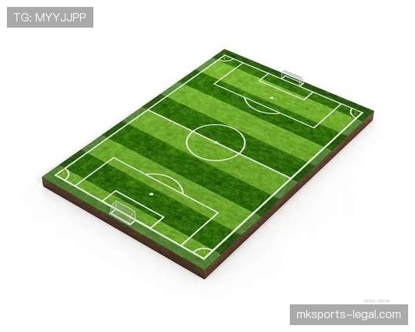 足球场尺寸规则详解：标准长度与宽度的判定依据